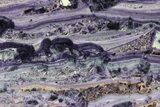 Polished Banded Purple Fluorite Slab - Nevada #322728-1